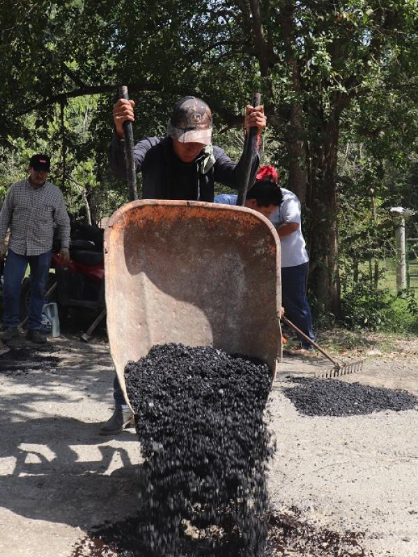 BACHEO2025